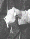 masonic grip.png