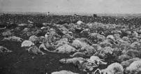 boer war animal carnage.jpg